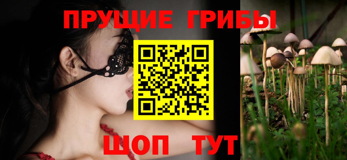 Псилоцибиновые грибы прущие грибы Шатура